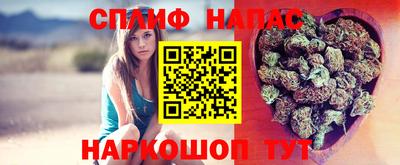 дмт Севастополь